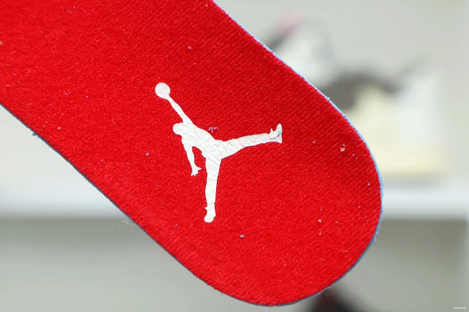 4 JORDAN AIR 'WILD GS THINGS' RETRO 0116